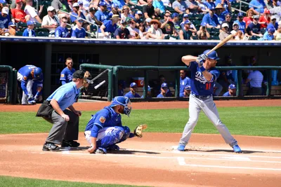 DSC_1726 (Large).JPG